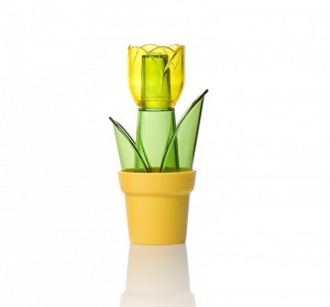 Solnita Tulipa. Poza 7650