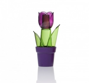 Solnita Tulipa. Poza 7652